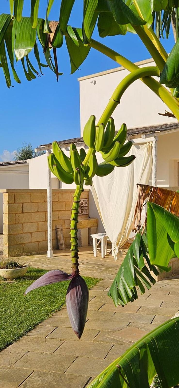 Tenuta Puloni Otrante Extérieur photo